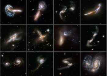 What Are the Different Types of Bankruptcy? A Comprehensive Guide for Beginners