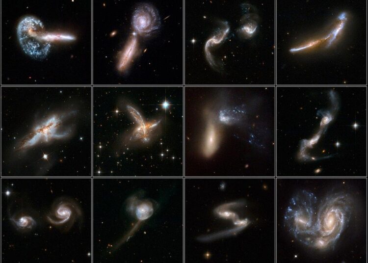 What Are the Different Types of Bankruptcy? A Comprehensive Guide for Beginners