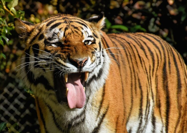 10 Benefits of Working with a Financial Advisor: Is It Right for You?