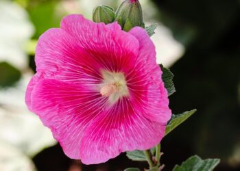 10 Common Stock Market Terms Every Investor Should Know