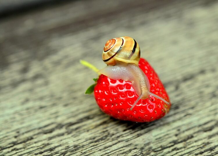 10 Key Benefits of Embracing Slow FI for a Balanced Life