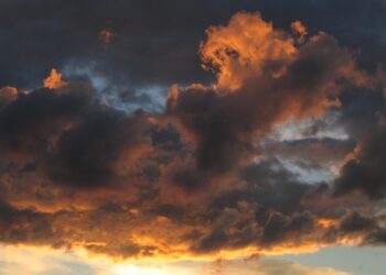 10 Key Factors That Influence Your Ideal Savings Rate for Achieving FIRE