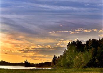 10 Low-Risk Investment Options You Can Trust for Steady Returns