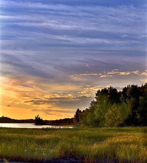 10 Low-Risk Investment Options You Can Trust for Steady Returns