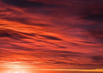 10 Powerful Strategies for Accurately Forecasting Your Future Net Worth