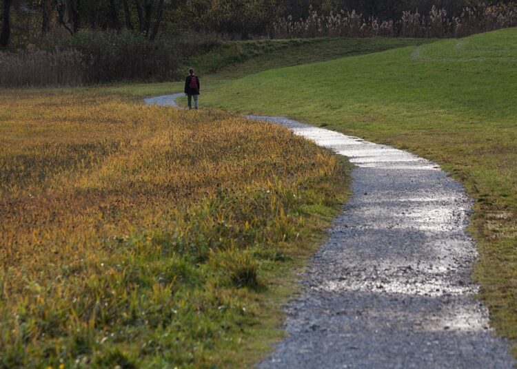 10 Profitable Side Hustles to Fuel Your FIRE Journey: Unlock Financial Freedom Today!