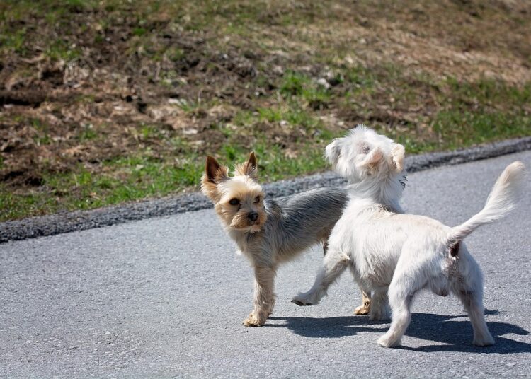 10 Proven Methods to Get Free Cryptocurrency Without Spending a Dime