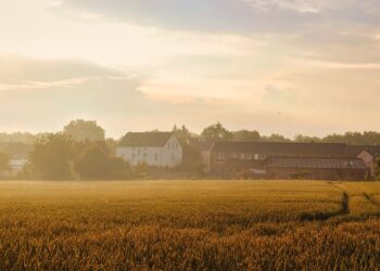 10 Proven Strategies to Build Wealth After Paying Off Debt: Your Path to Prosperity