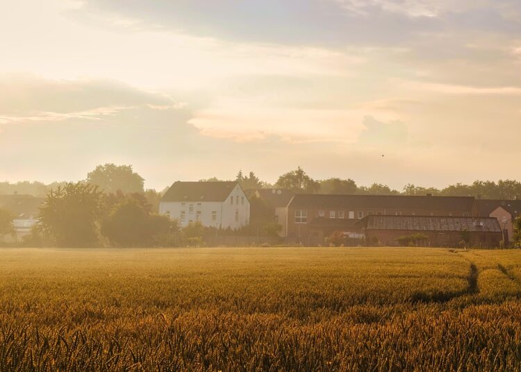 10 Proven Strategies to Build Wealth After Paying Off Debt: Your Path to Prosperity