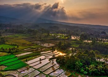 10 Proven Strategies to Skyrocket Your Net Worth to 1 Million Dollars