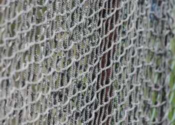 10 Proven Tips on How to Protect Your Net Worth from Market Volatility