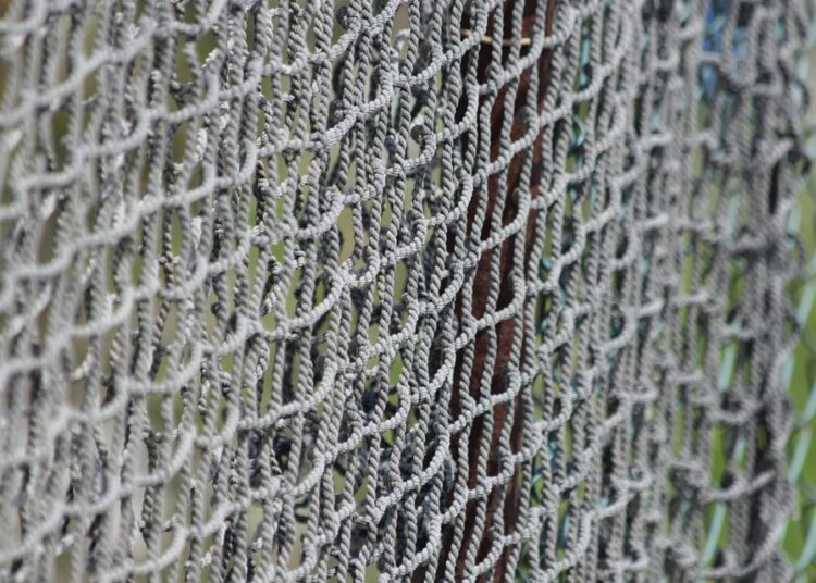 10 Proven Tips on How to Protect Your Net Worth from Market Volatility