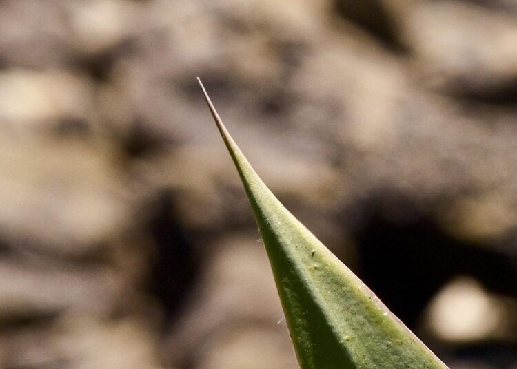 10 Signs It’s an Emergency: How to Tell When to Act Fast