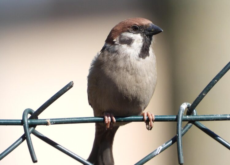 10 Surprising Ways Net Worth Tracking Can Drive Your Financial Success