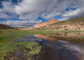 5 Critical Steps to Take When Tapping into Your Emergency Fund