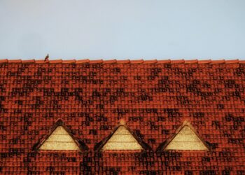 5 Everyday Habits That Will Simplify Your Life and Boost Your Happiness