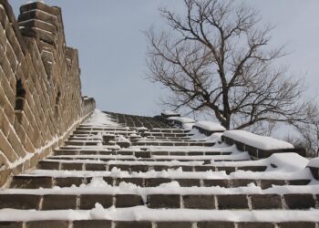 5 Key Benefits of Becoming an Authorized User on Someone Else’s Credit Card