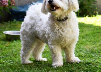 5 Key Benefits of Investing in Fidelity Index Funds You Can’t Afford to Ignore