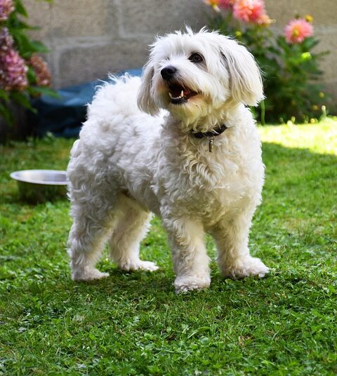 5 Key Benefits of Investing in Fidelity Index Funds You Can’t Afford to Ignore