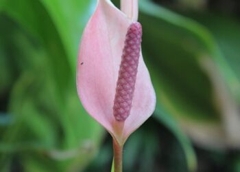 5 Key Benefits of Rule 72t You Need to Know Before Accessing Your Retirement Funds