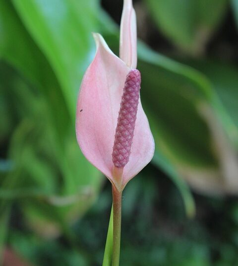 5 Key Benefits of Rule 72t You Need to Know Before Accessing Your Retirement Funds