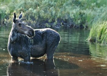 5 Reasons Every Side Hustler Should Have a Separate Bank Account