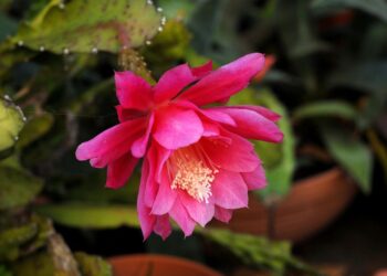 5 Reasons Why You Should Consider Investing in Developed Markets ETFs Today