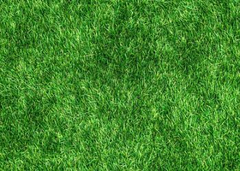 5 Signs You’re Achieving a Healthy Net Worth Growth Rate