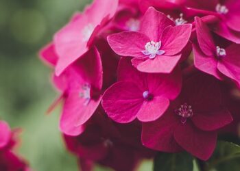 7 Common Mistakes to Avoid When Getting Your First Credit Card