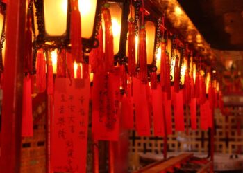 7 Essential ETFs You Need for a Diversified Portfolio: Maximize Your Investment with Minimal Effort