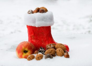 7 Essential Tips on How to Invest in ETFs for a Secure Retirement