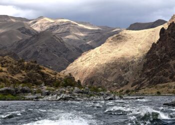 7 Key Benefits of Rapid Rescore Targeting That Every Homebuyer Should Know