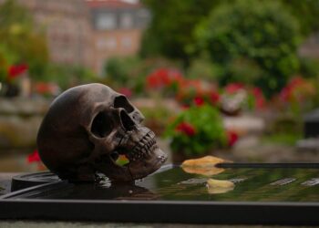 7 Key Differences: Cyclical vs Non-Cyclical Stocks Explained