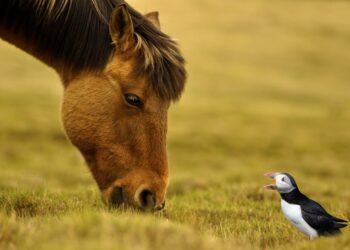 7 Proven Ways to Ensure Your Rent Payments Boost Your Credit Score