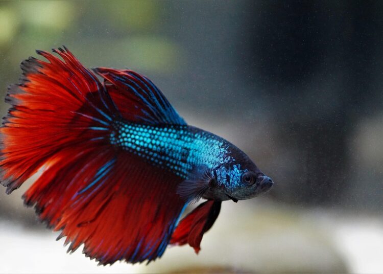 7 Reasons Why Smart Beta Strategies Are a Game Changer for Robo-Advisors and Investors Alike