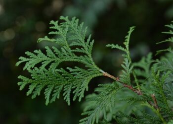 (A comprehensive beginner’s guide to budgeting with a side hustle.)