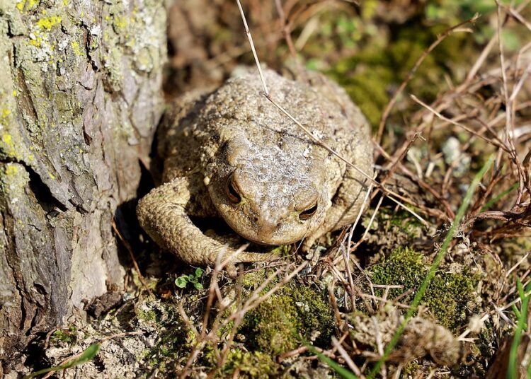 Are You Making These Common Frugal Living Mistakes? Find Out Now!