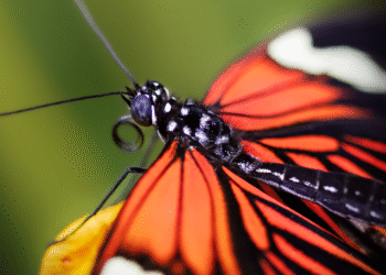 Are You Making These Common Money Mistakes? Here’s How to Fix Them!