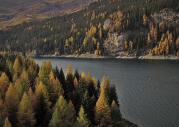 Are You Maximizing Your Savings? What to Look for in a HYSA to Boost Your Interest