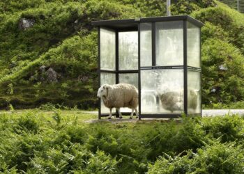 Are You Sabotaging Your Financial Future? Here’s How to Break the Cycle