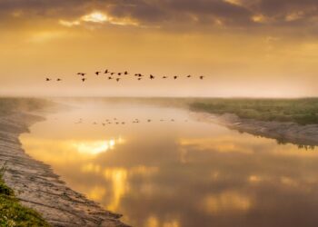 Are You Struggling with Debt? Here’s Why You Should Prioritize an Emergency Fund First