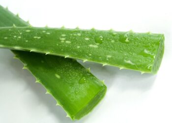 How to Build a Stunning Beauty Routine on a Budget: A Step-by-Step Guide