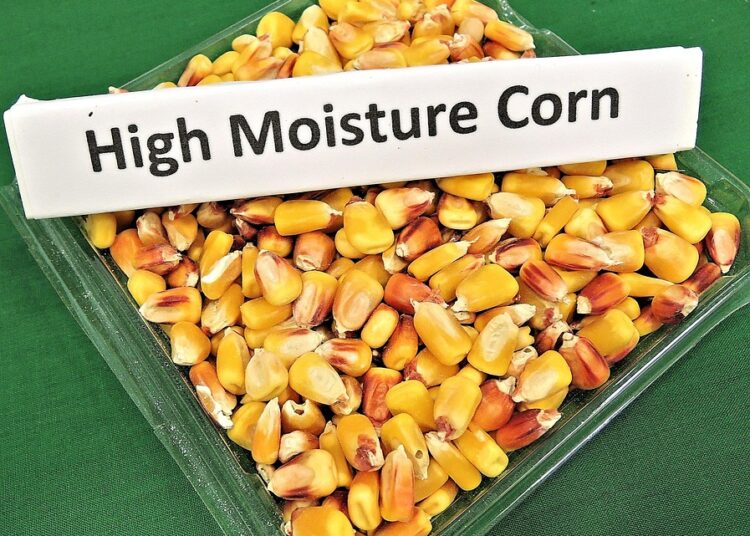 How to Choose the Right High-Yield Savings Account for Your Financial Goals