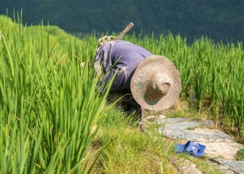 How to Craft Your Perfect Day: A Guide to Thriving in Early Retirement