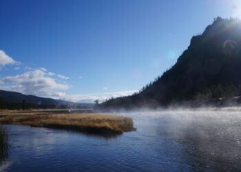 How to Develop a Wealth-Building Mindset: Top Money Podcasts You Need