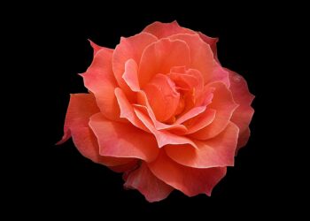 How to Identify and Avoid Bad Financial Goals: A Step-by-Step Guide