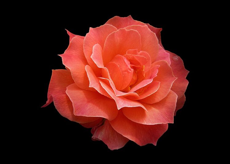 How to Identify and Avoid Bad Financial Goals: A Step-by-Step Guide