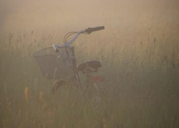 How to Pay Off Your Loan Early: A Step-by-Step Guide for Financial Freedom