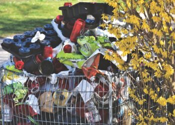 How to Reduce Food Waste: Simple Steps for a Sustainable Kitchen