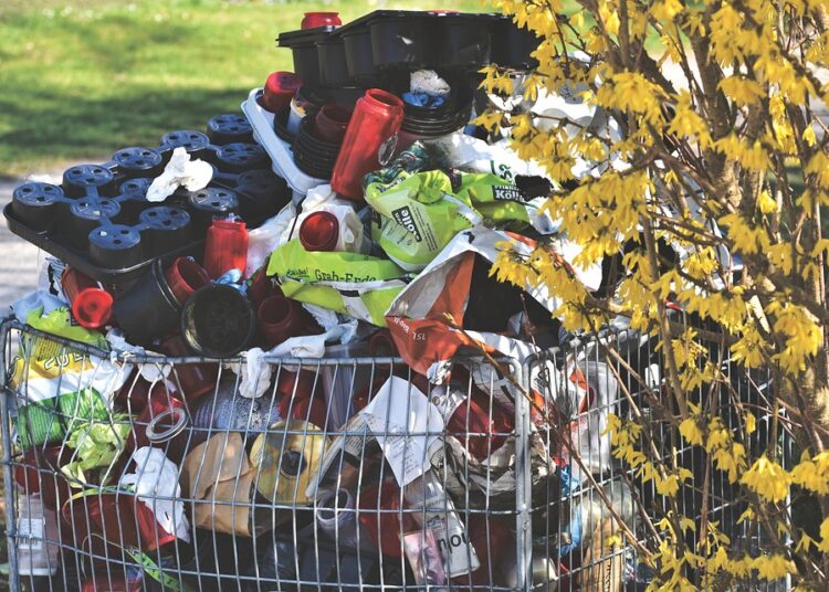 How to Reduce Food Waste: Simple Steps for a Sustainable Kitchen